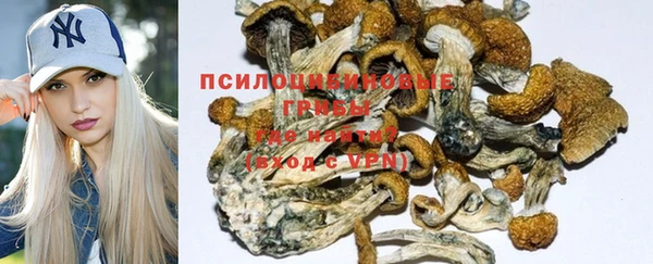 a pvp Беломорск