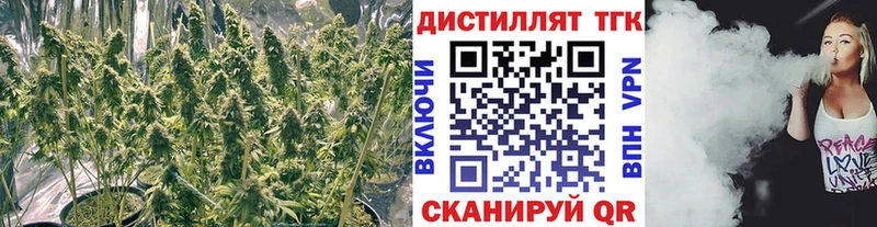 Дистиллят ТГК гашишное масло  закладки  Кувандык 