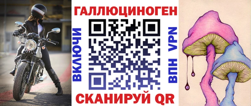 где можно купить наркотик  Кувандык  Галлюциногенные грибы Psilocybine cubensis 
