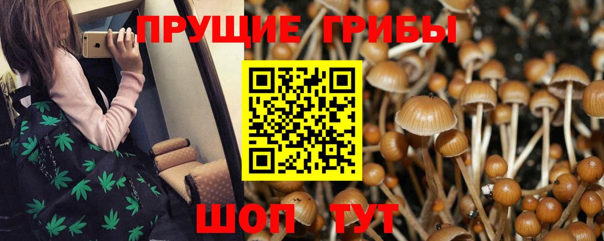 Кувандык  где купить наркоту  Галлюциногенные грибы мицелий  Вход с VPN  Псилоцибиновые грибы GOLDEN TEACHER 